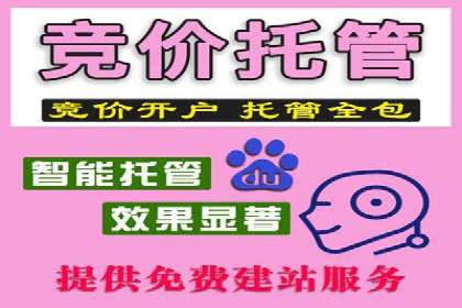 百度SEO推广公司案例分享：行业佼佼者经验